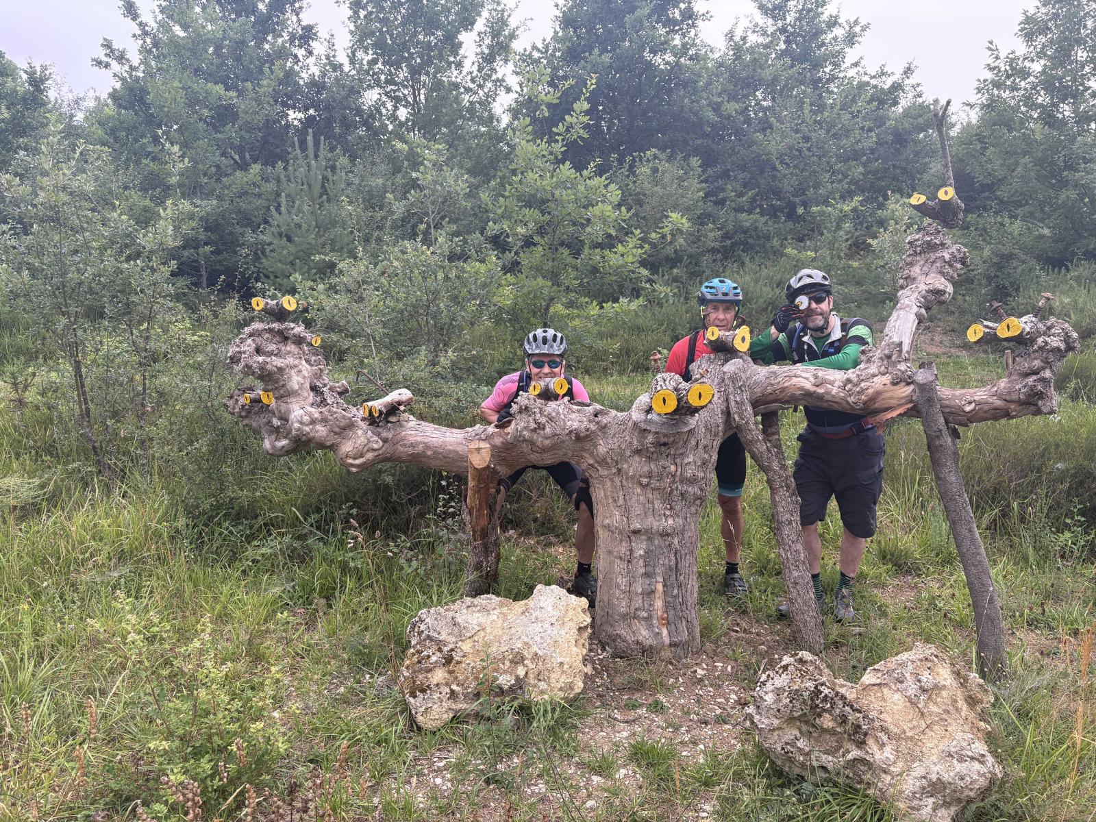 Ver fotos de la ruta